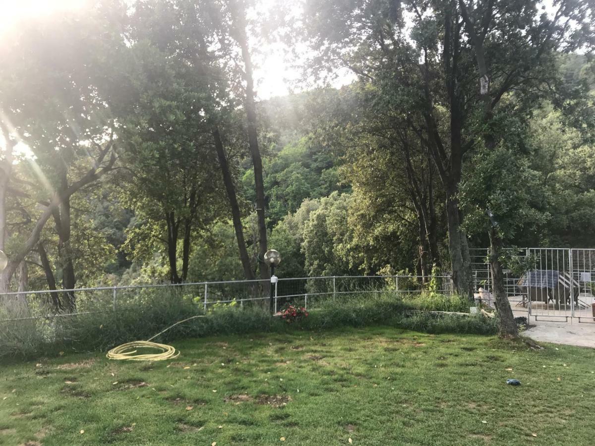 Cottage In Front Of The Sea 보나솔라 외부 사진